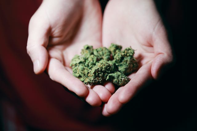 CBD pour la Peau : Découvrez les Secrets de l'Éclat Naturel